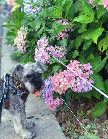 amateur deepthroat onlyfans sexy nude pic