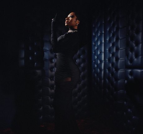 Megan Thee Stallion star nudes gallery