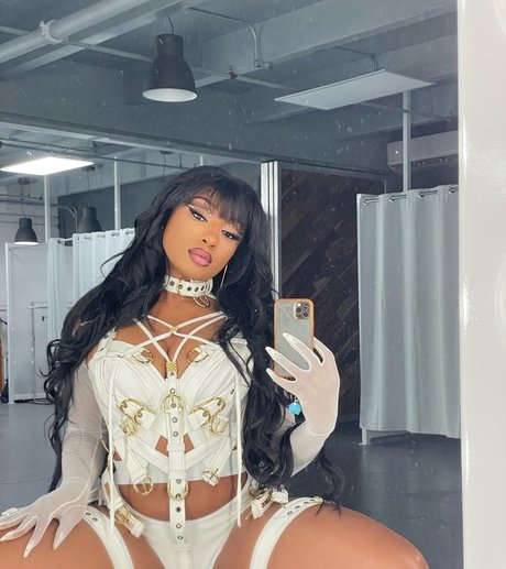 Megan Thee Stallion hd star picture