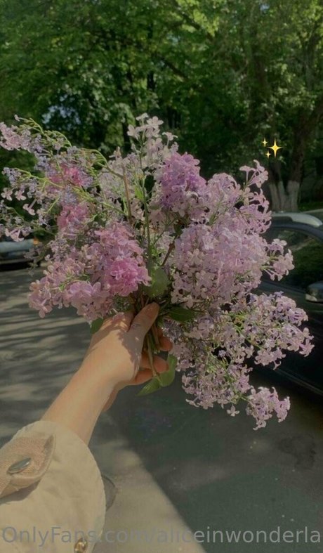 aliceinwonderland xo Profile pic