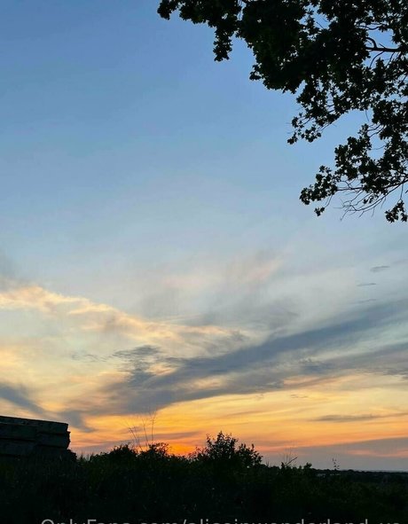 aliceinwonderland xo star sex archive