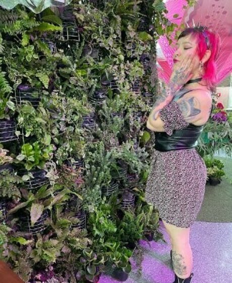 alexa artt art star archive