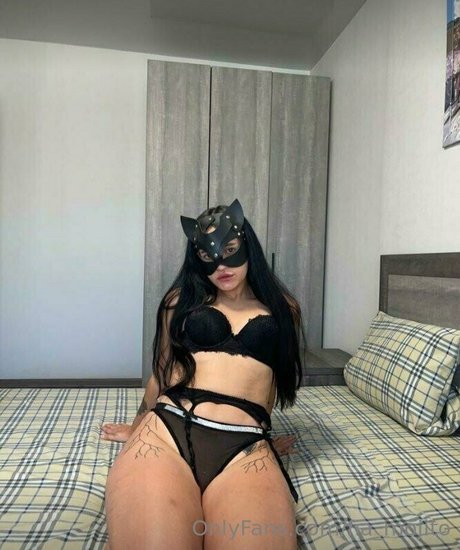 fia mojito top star img