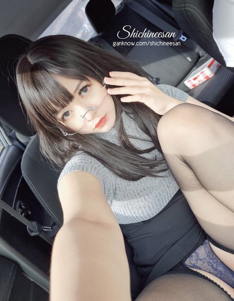 Shichineesan model best image