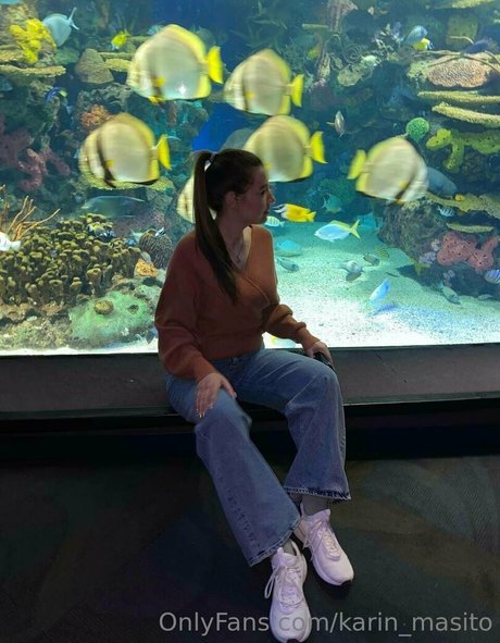 Karin Masito porn star img