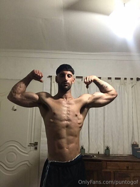 Puntogof Profile pic