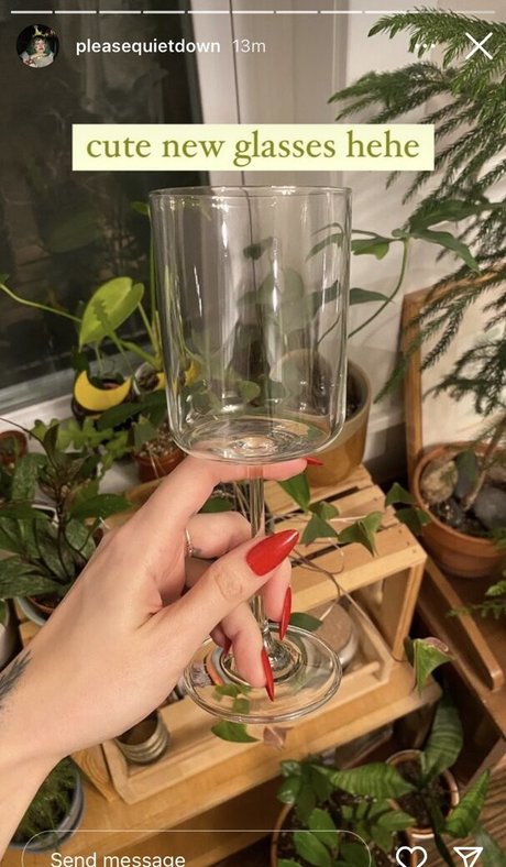 Pleasequietdown sex star photo