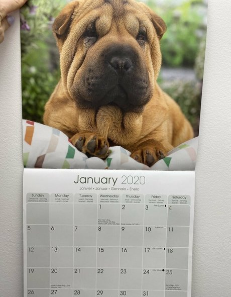 ssbbw onlyfans top photos