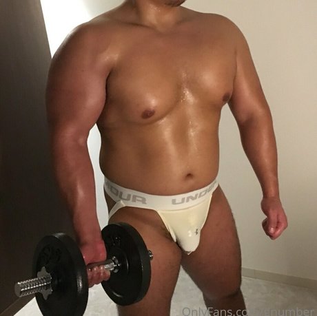 gnumber model nice galleries