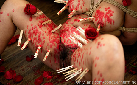 conquerhermind star porn pictures