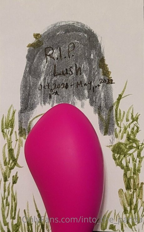 into the panda beautiful pornstar galleries