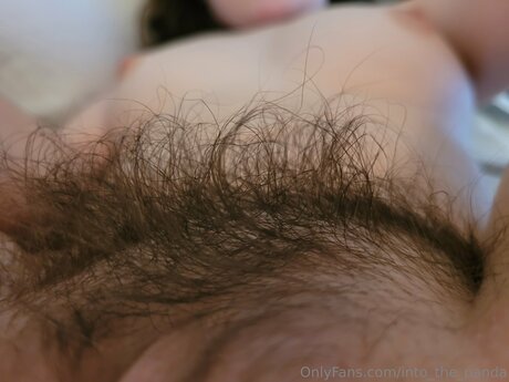 into the panda pretty star images