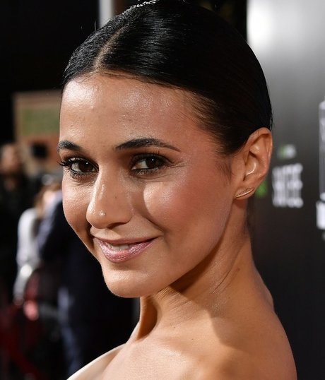 Emmanuelle Chriqui model top picture