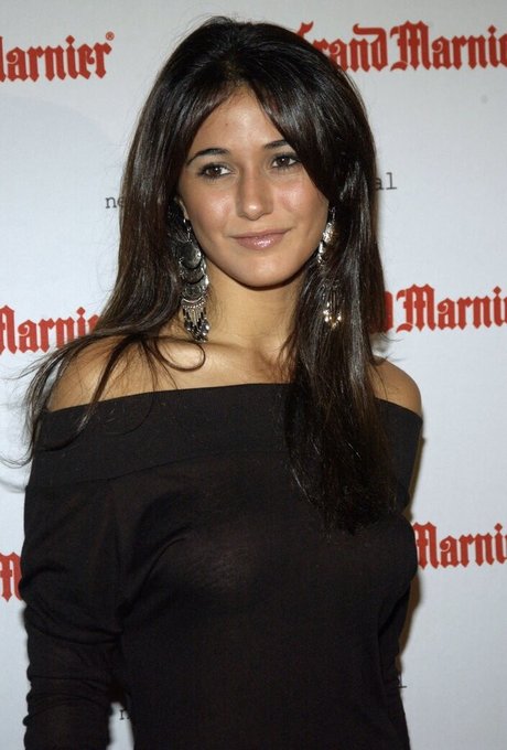 Emmanuelle Chriqui naked star picture