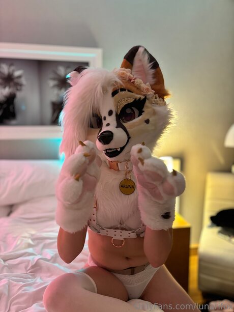 Lunarifox model hd pictures