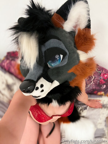 Lunarifox sexy star pictures