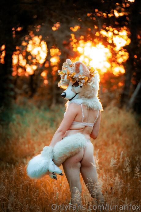 Lunarifox top pornstar img