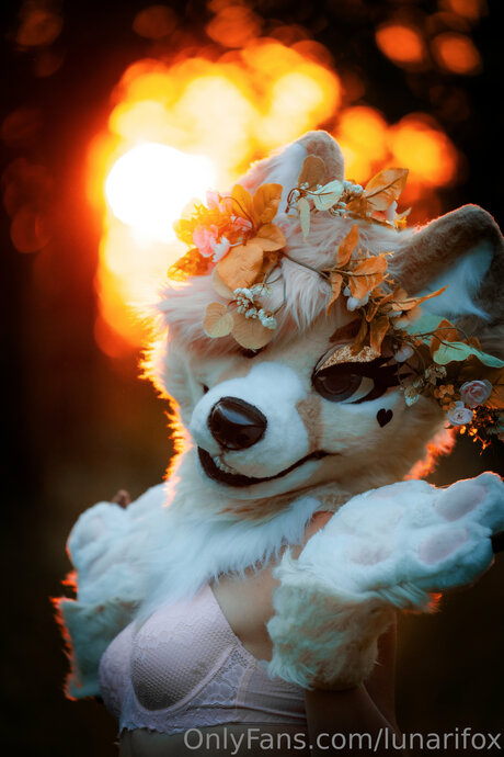 Lunarifox perfect pornstar img