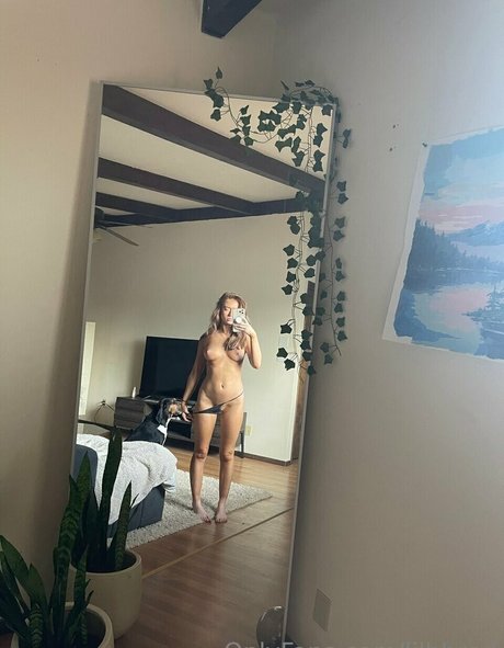 lilbbred star porn img