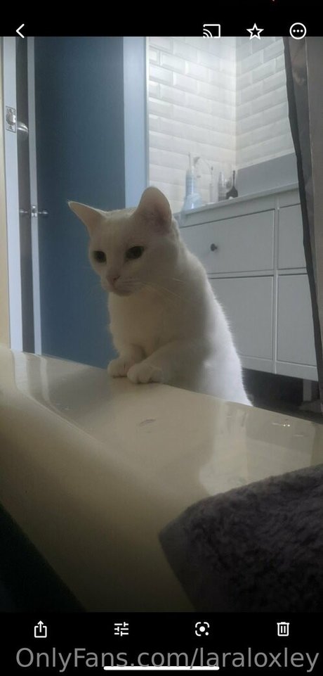 kitty milf onlyfans free porn gallery