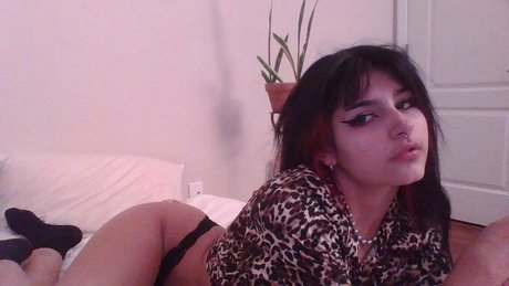 Cyberjuju Profile pic