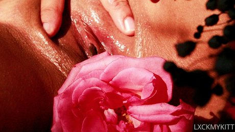 Lxckmykitt free pornstar pics