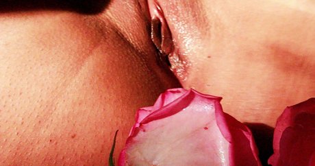 Lxckmykitt pornstar hd image