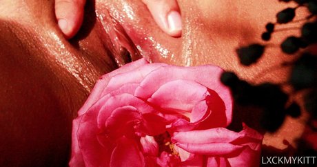 Lxckmykitt erotic star archive