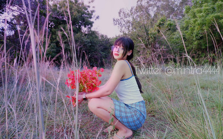 mintra4444 nice star img