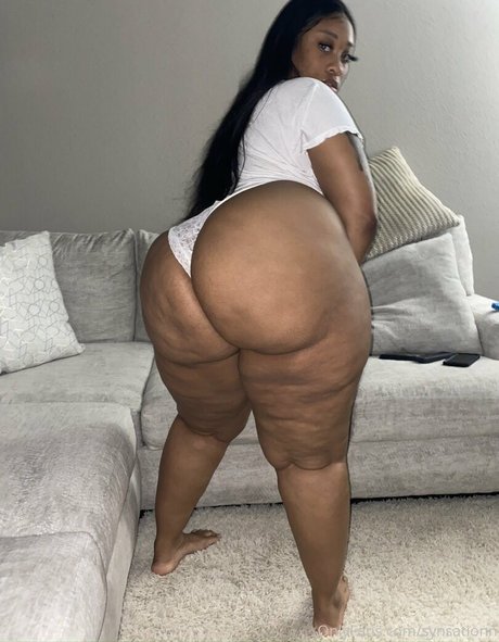 Synsationn star art gallery