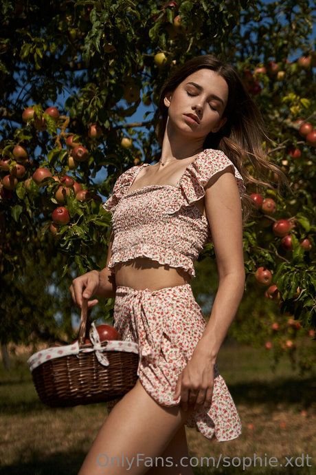 sophie xdt perfect star image