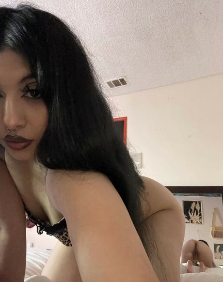 vindigoo pornstar xxx img