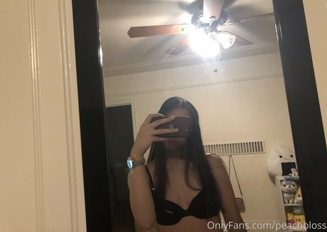 peachbloss star high quality picture