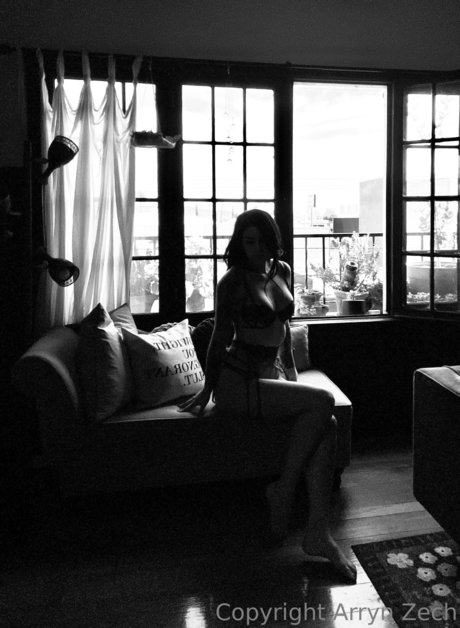 Arryn Zech sex star archive