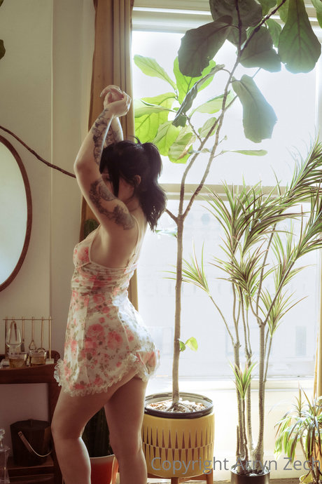 Arryn Zech star nice picture