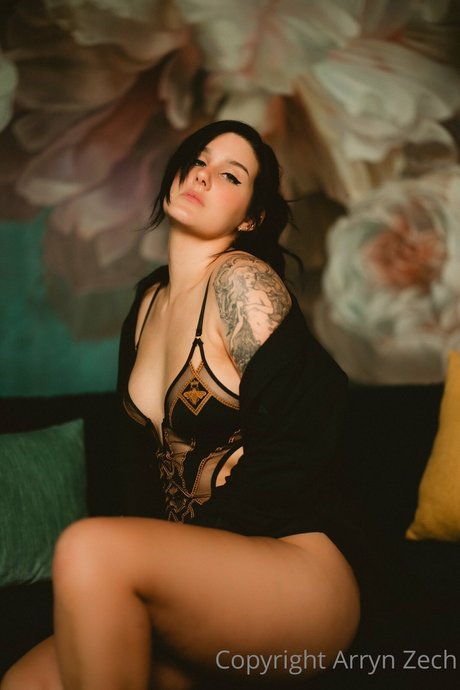 Arryn Zech best star archive