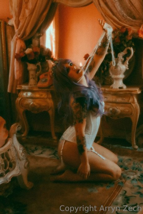 Arryn Zech pornstar adult pic