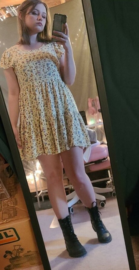 Midnight Vulpi star art pictures