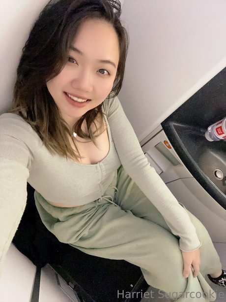 Harriet Sugarcookie star nice photos