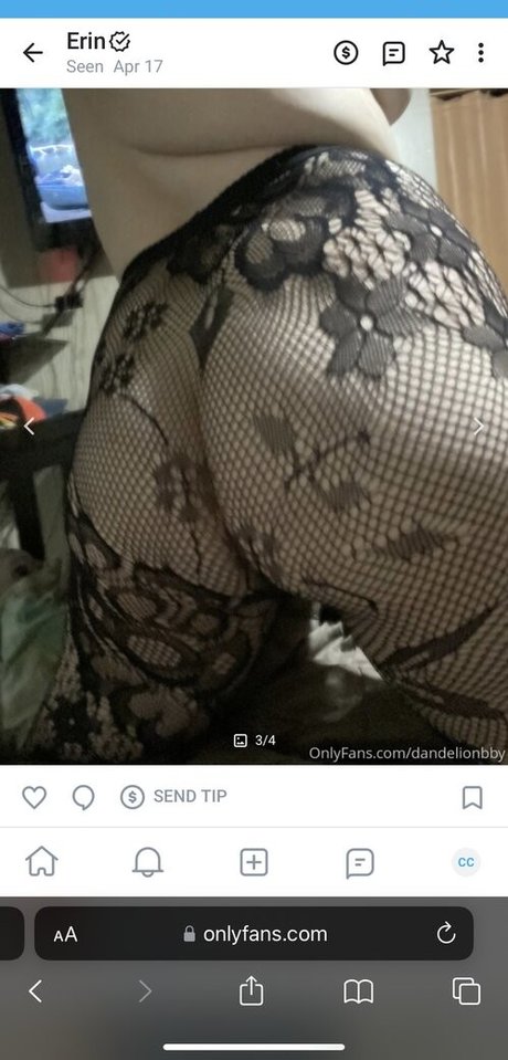 Dandelionbby star hot galleries