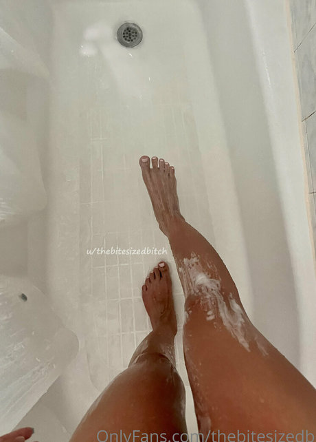 thebitesizedb free pornstar images