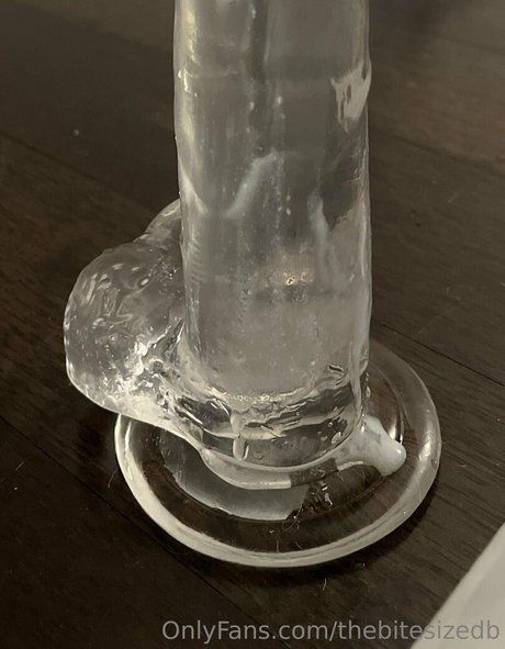 thebitesizedb high quality model image