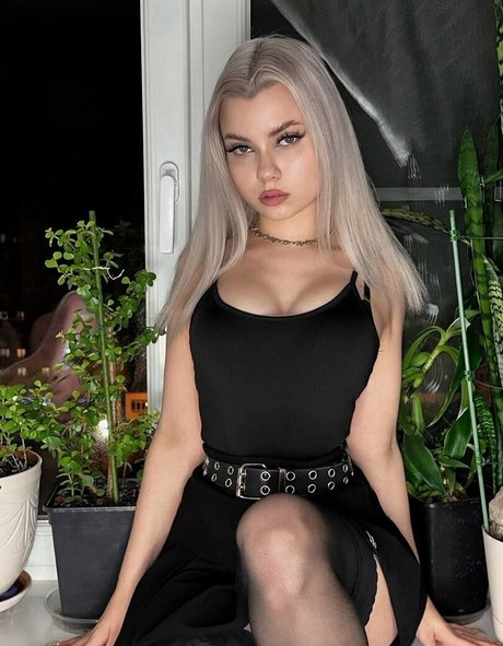 okidooky Profile pic