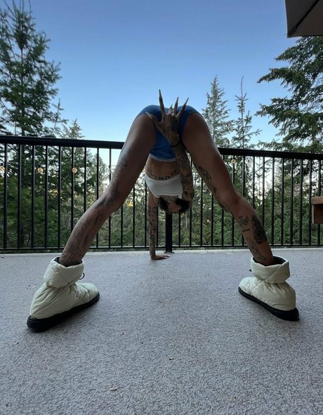 Notsick3 beautiful star gallery