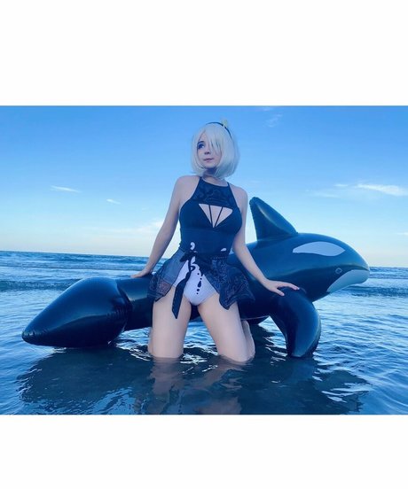 Belhino model best images