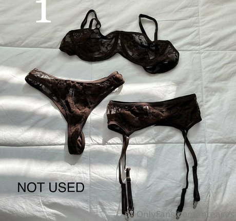 mteases free pornstar photo