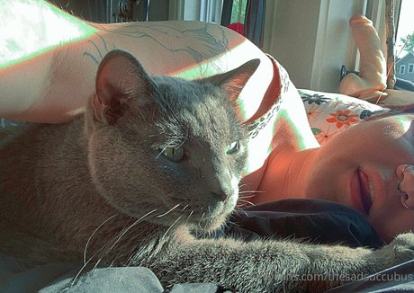 thesadsuccubus pornographic star picture