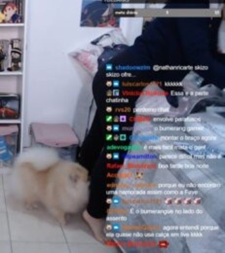 Faye Tan xxx pornstar galleries