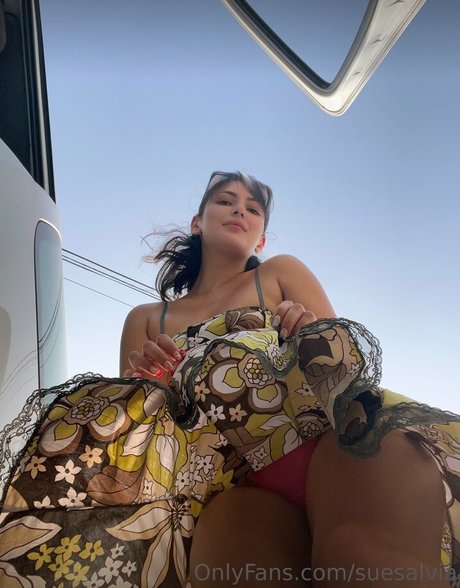 Suecuk star best pic