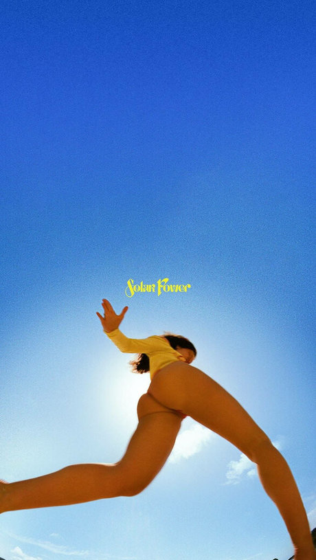 Lorde star high quality archive